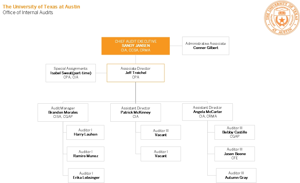 University Of Texas Organizational Chart